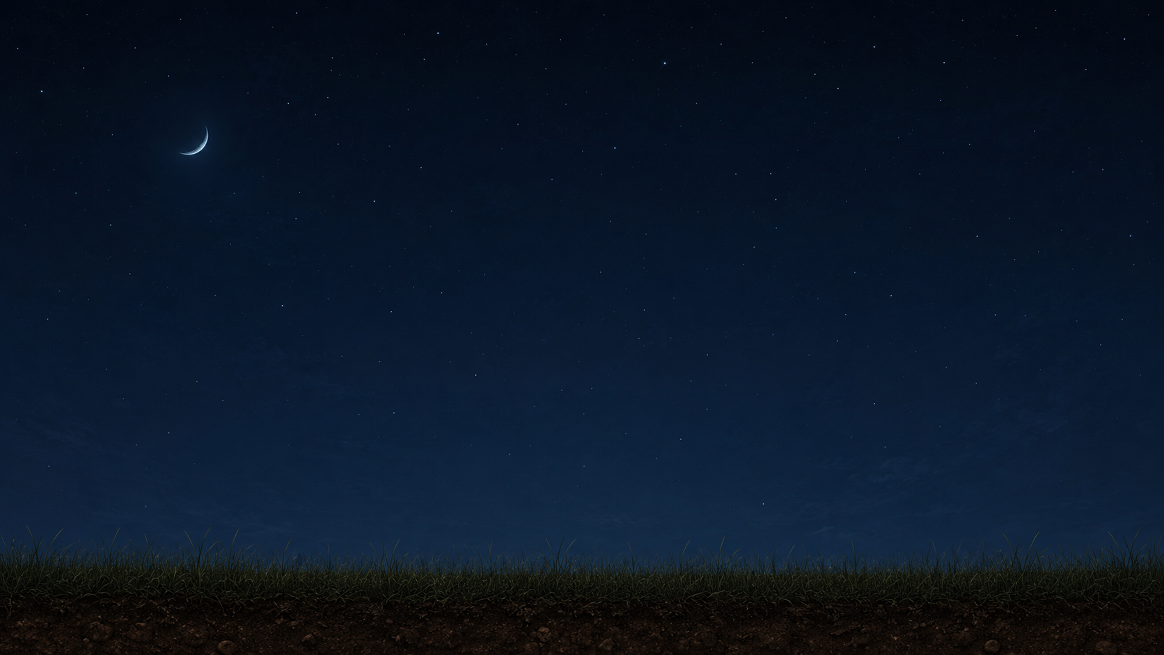 A quiet field beneath a starry sky